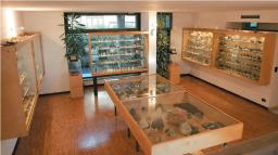 Museo Mineralogico di Vico Equense