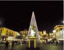 L’Albero in Piazza Tasso