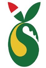 Logo Sirena D’oro