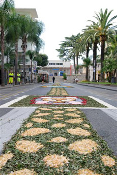 Infiorata 3