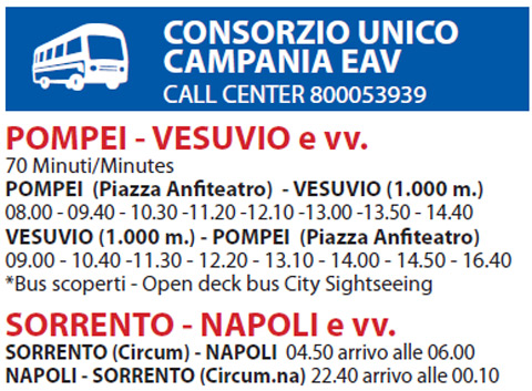 Autolinee EAV-Bus 2011 (2)
